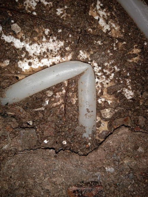 成武堵点精准查找